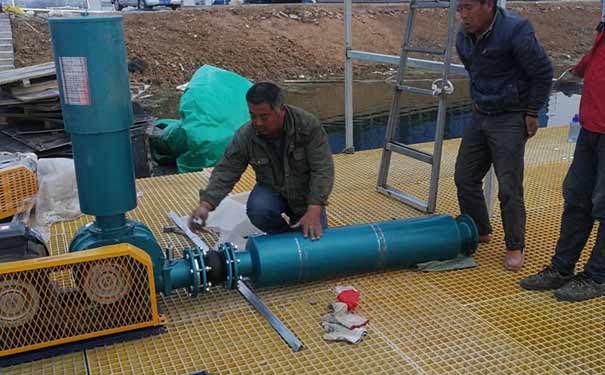 羅茨午夜免费小视频安裝與調試