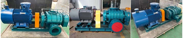 直聯傳動羅茨午夜免费小视频