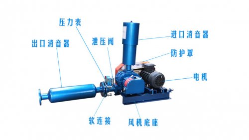 羅茨鼓午夜免费小视频