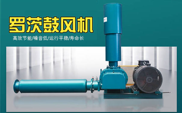 羅茨午夜免费小视频