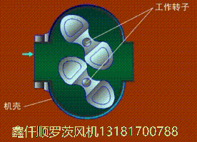三葉羅茨鼓午夜免费小视频工作原理gif動畫