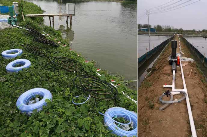 水產養殖供氧曝氣羅茨午夜免费小视频