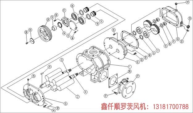 三葉羅茨鼓午夜免费小视频安裝示意圖