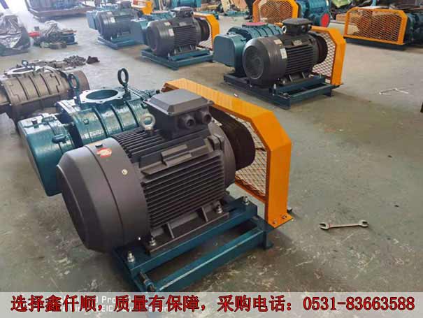 發貨廣西高壓羅茨鼓午夜免费小视频XQSSR15030KW6台(圖2)